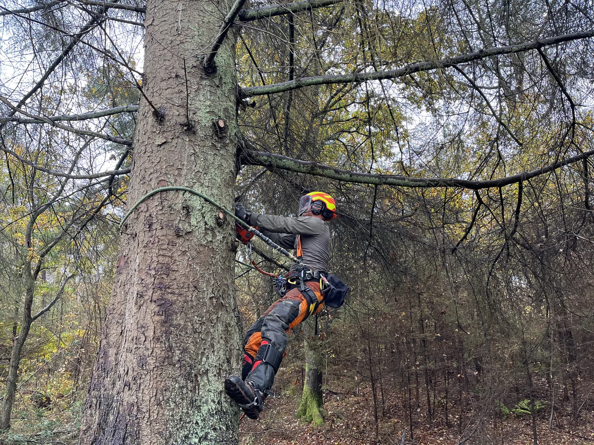 Topkapning